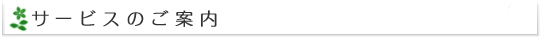 サービスのご案内